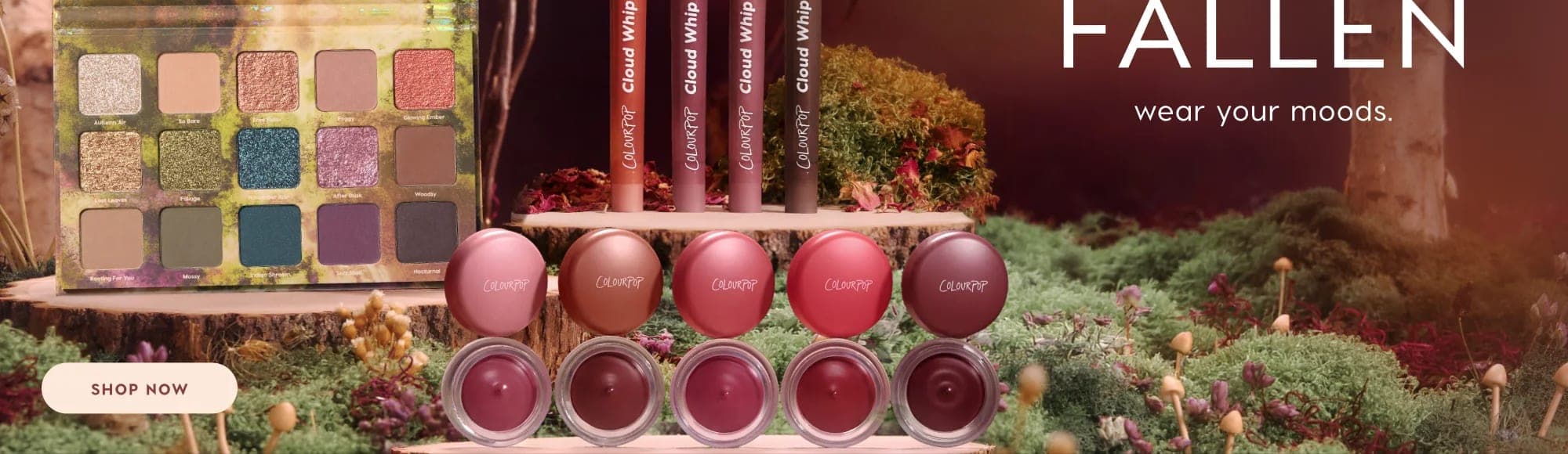 Seed Beauty/ColourPop cover image