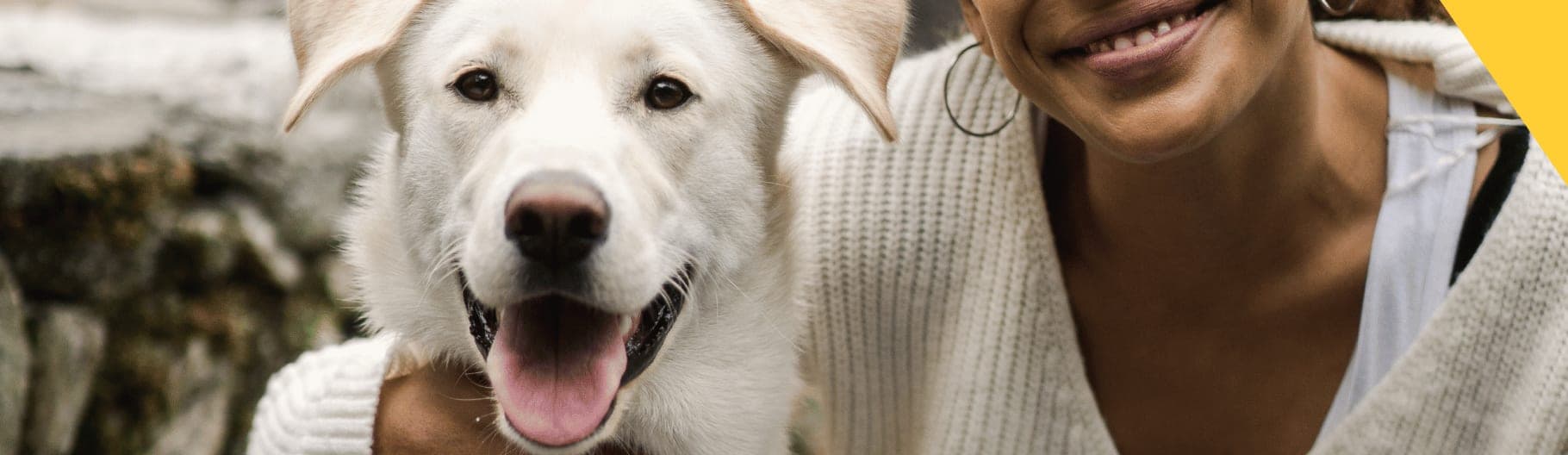 Embark Veterinary cover image
