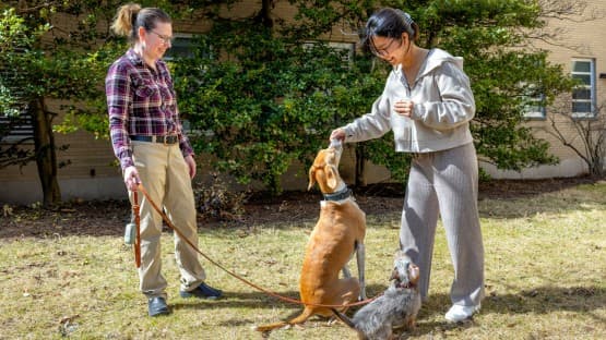 Dog owners help advance research one DNA test at a time