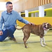 From dogs to data: a journey through canine genetics
