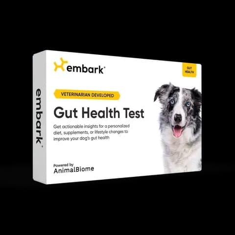 Gut Health Test