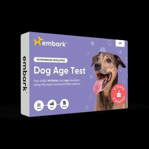 Dog Age Test