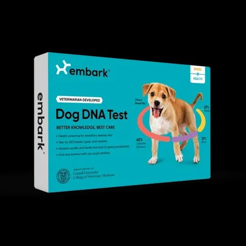 Breed + Health Dog DNA Test