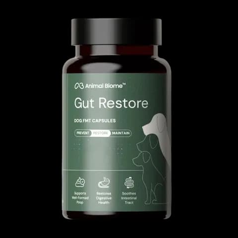 Gut Restore Supplement for Dogs