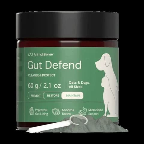 Gut Defend Powder Supplement